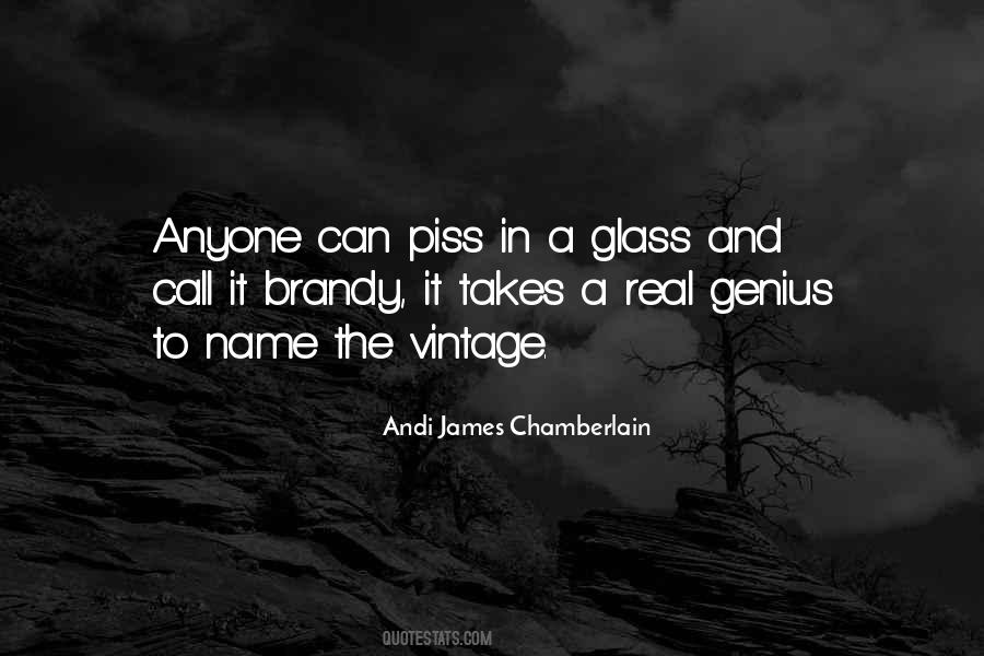 Andi James Chamberlain Quotes #1129865