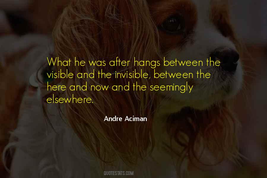 Andre Aciman Quotes #889752