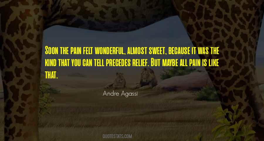 Andre Agassi Quotes #978453