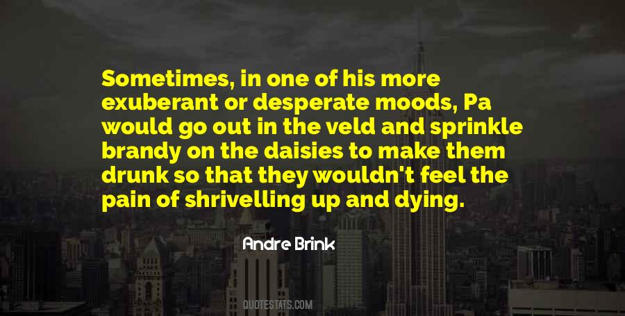 Andre Brink Quotes #1104314