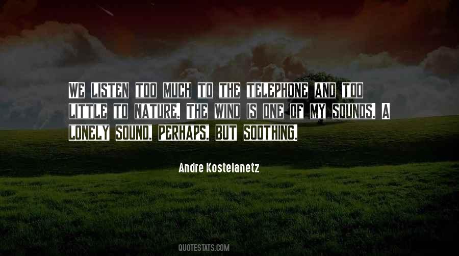 Andre Kostelanetz Quotes #1632124