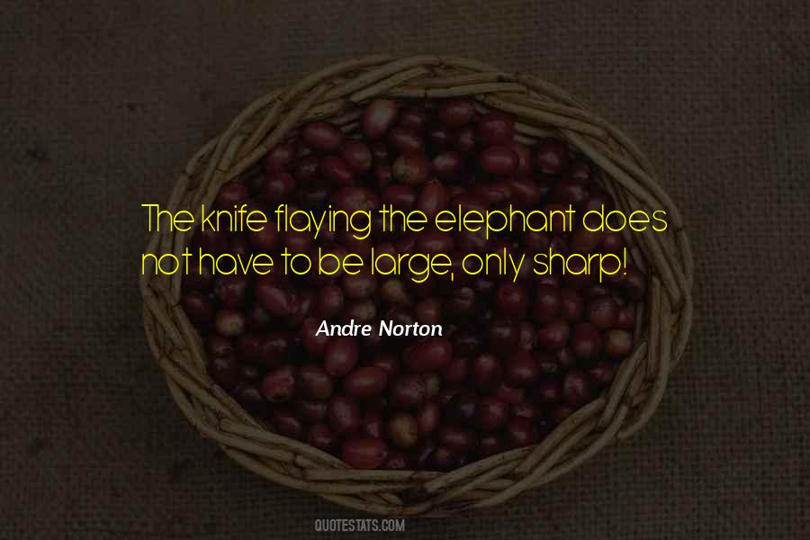 Andre Norton Quotes #416740
