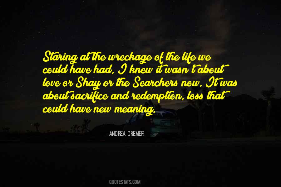 Andrea Cremer Quotes #583515