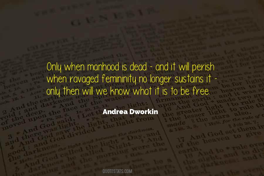 Andrea Dworkin Quotes #693330