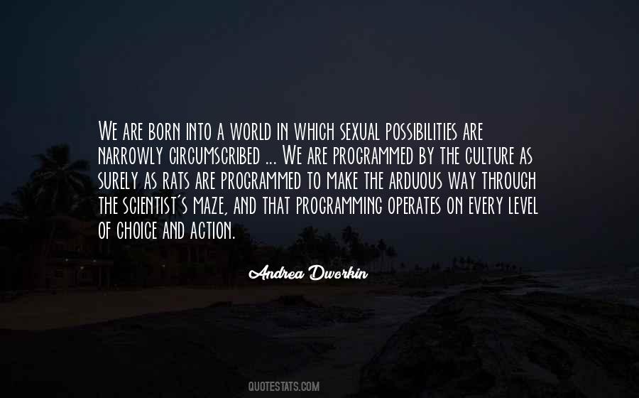 Andrea Dworkin Quotes #906737