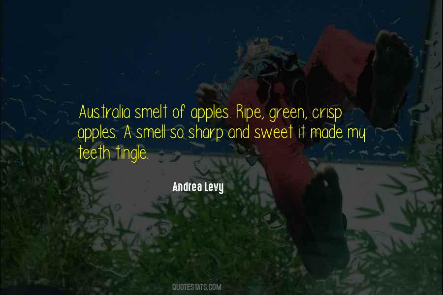 Andrea Levy Quotes #816398