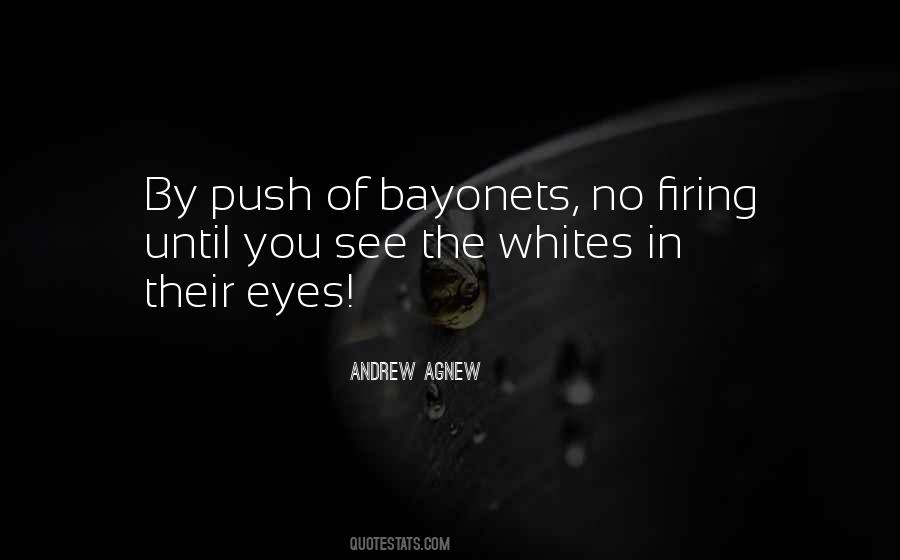 Andrew Agnew Quotes #824621