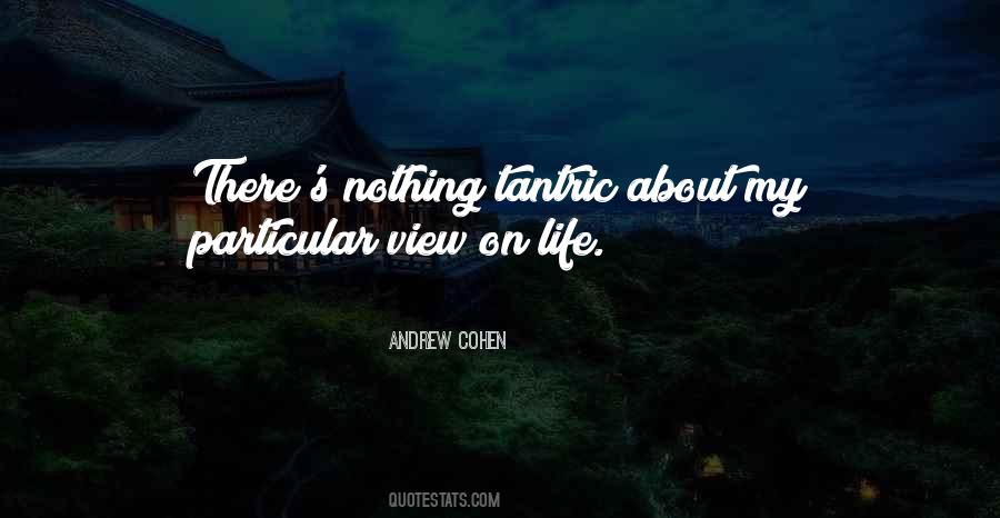 Andrew Cohen Quotes #1161293