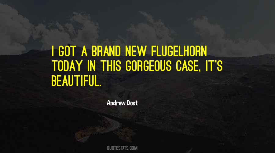 Andrew Dost Quotes #611460