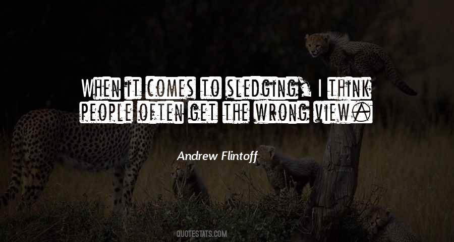 Andrew Flintoff Quotes #885382