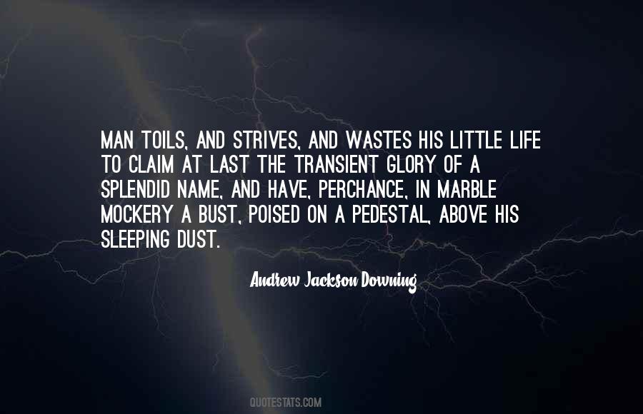 Andrew Jackson Downing Quotes #359166