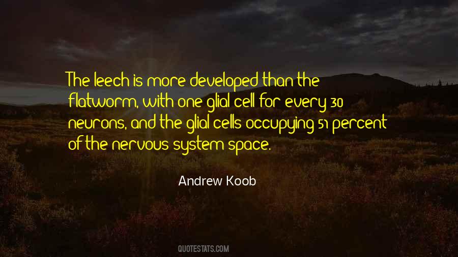 Andrew Koob Quotes #1284332