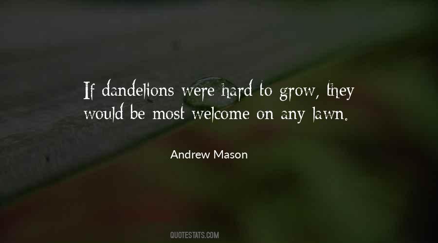 Andrew Mason Quotes #38595