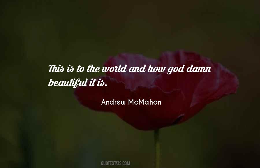 Andrew McMahon Quotes #557624