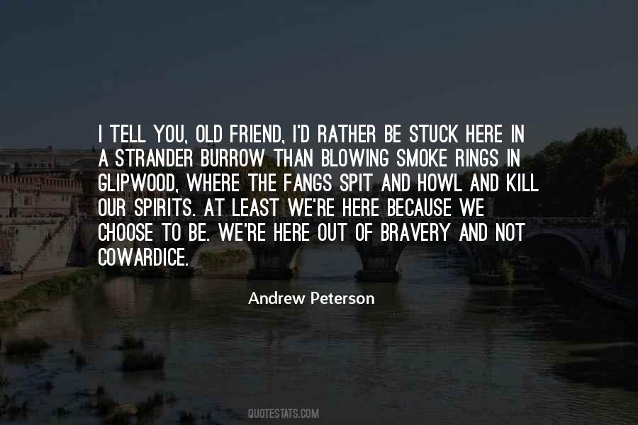 Andrew Peterson Quotes #223501