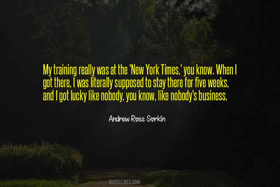 Andrew Ross Sorkin Quotes #1553291