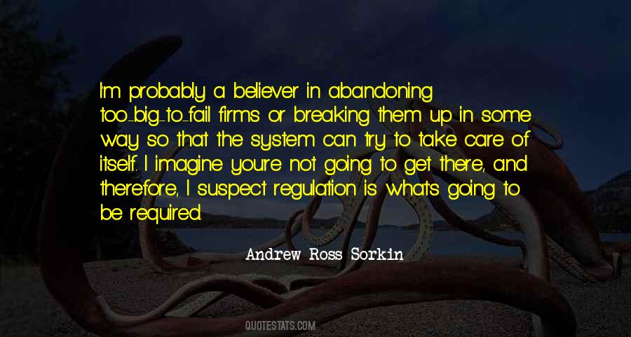 Andrew Ross Sorkin Quotes #189125