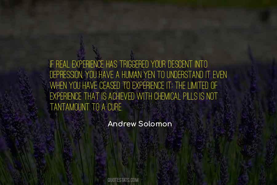 Andrew Solomon Quotes #1026517