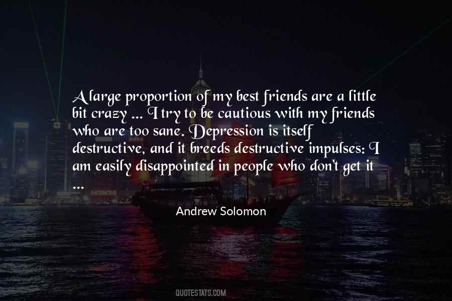 Andrew Solomon Quotes #773298