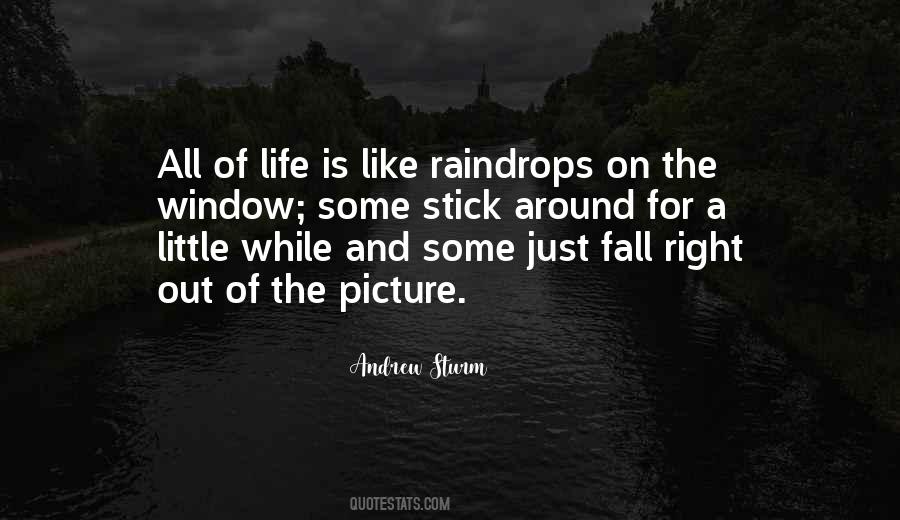 Andrew Sturm Quotes #656327