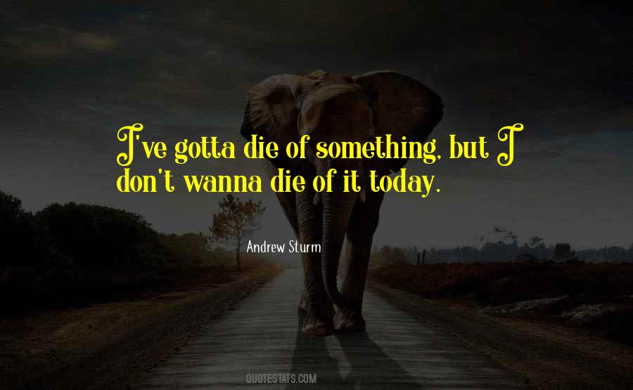 Andrew Sturm Quotes #851020