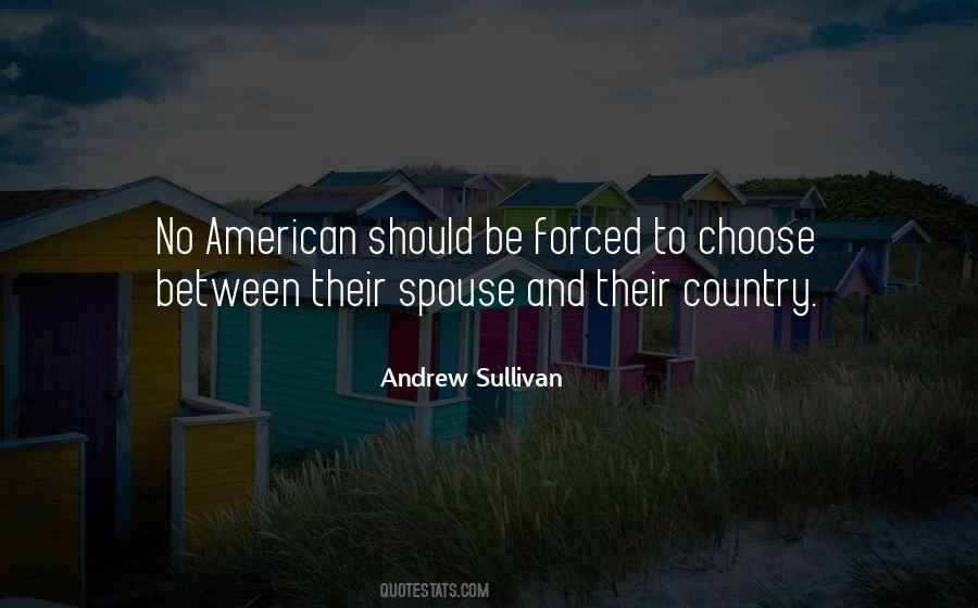 Andrew Sullivan Quotes #1604332