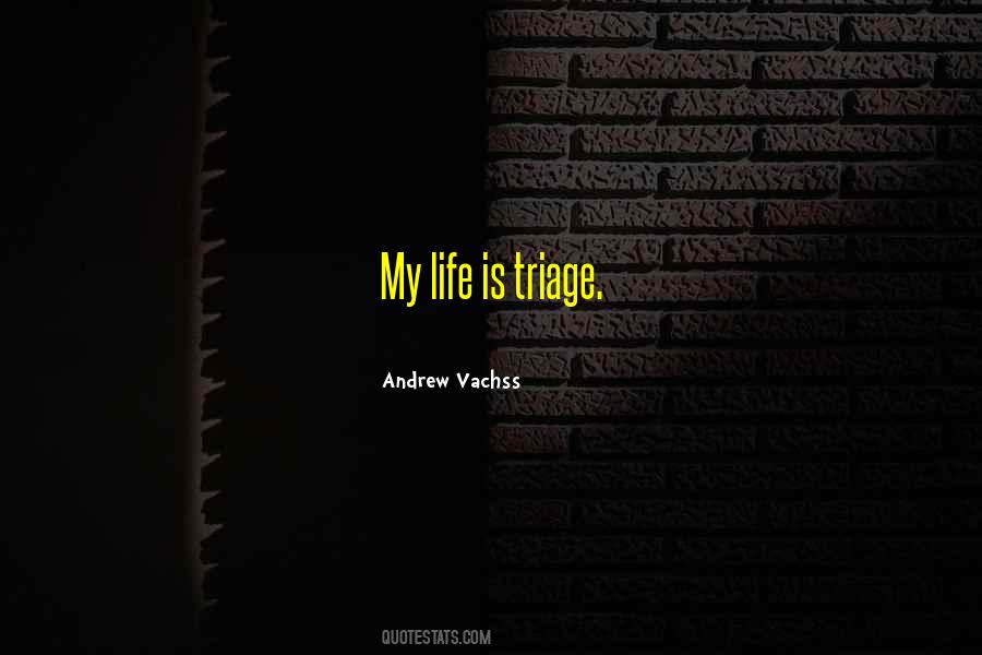 Andrew Vachss Quotes #1724948