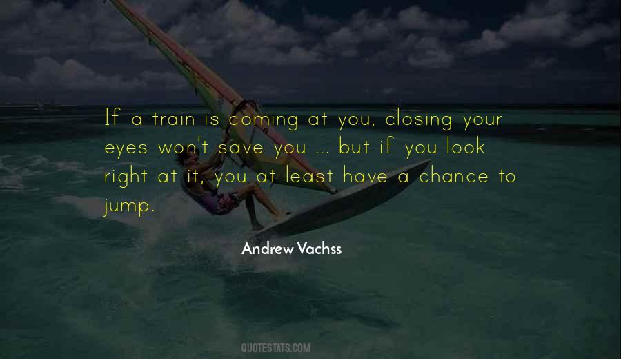 Andrew Vachss Quotes #1763502