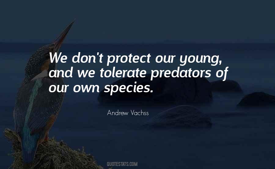 Andrew Vachss Quotes #37779