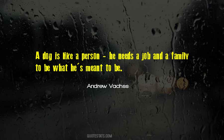 Andrew Vachss Quotes #484650