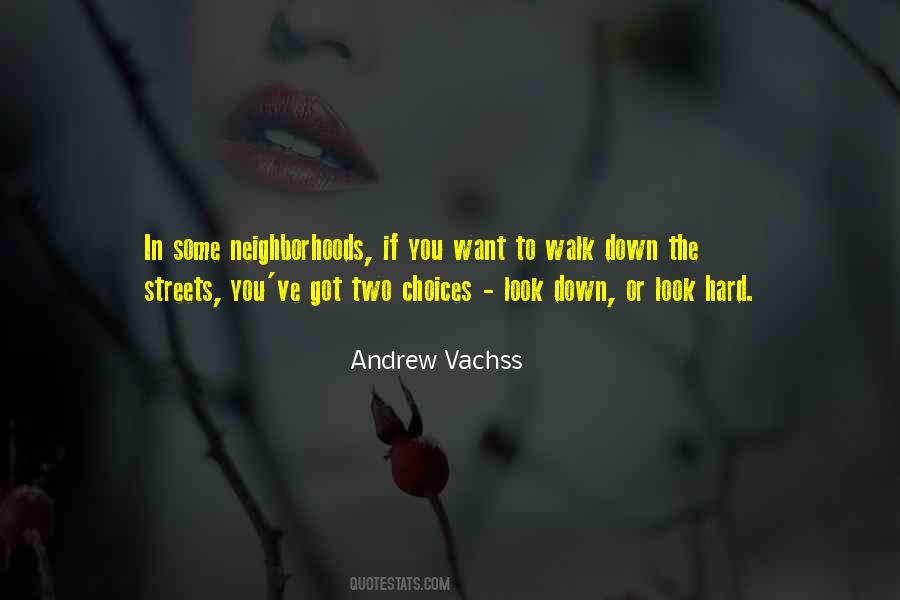 Andrew Vachss Quotes #58338