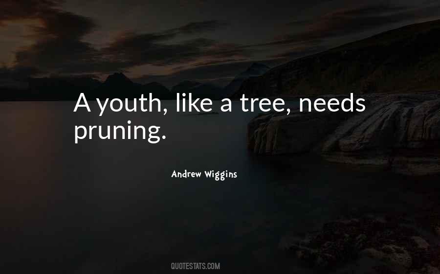 Andrew Wiggins Quotes #760927 Andrew Wiggins Quotes #760927