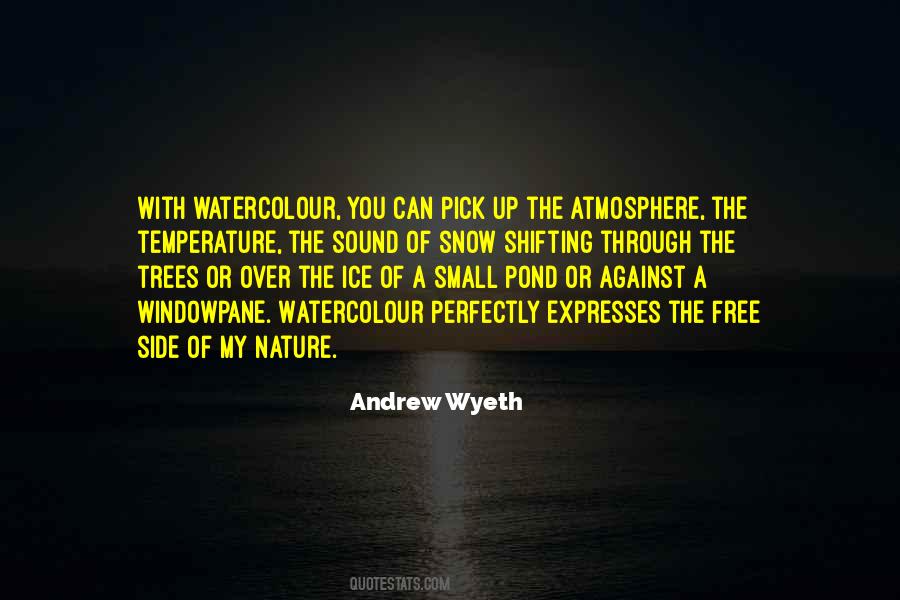 Andrew Wyeth Quotes #1749647