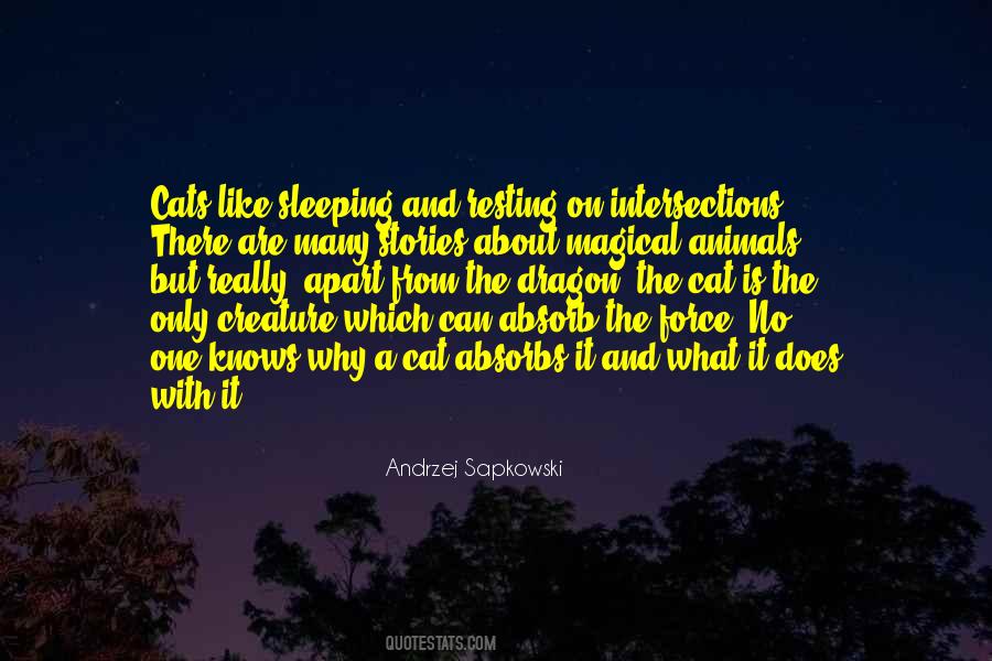 Andrzej Sapkowski Quotes #1153990