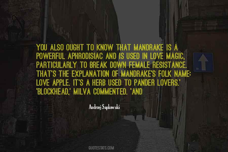 Andrzej Sapkowski Quotes #319244