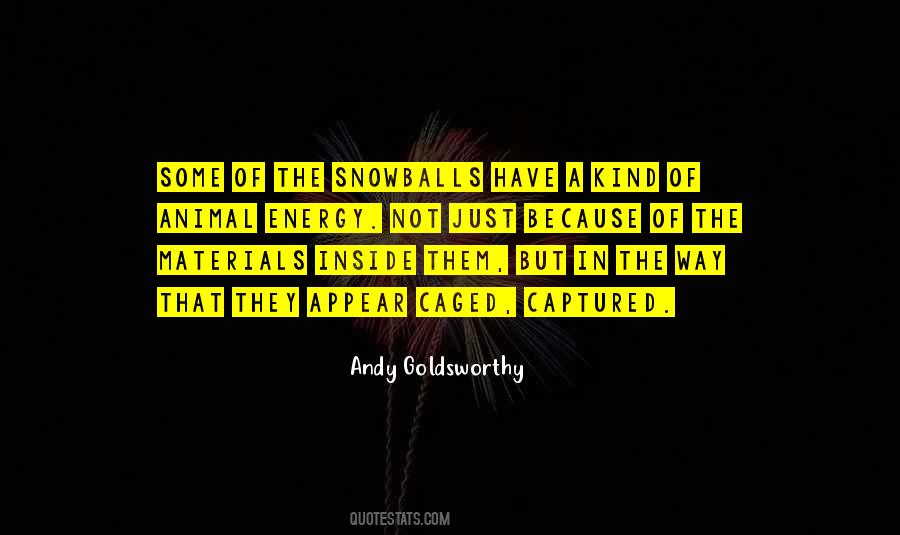 Andy Goldsworthy Quotes #114315