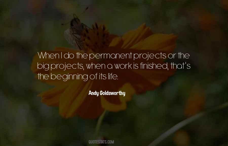 Andy Goldsworthy Quotes #1681686