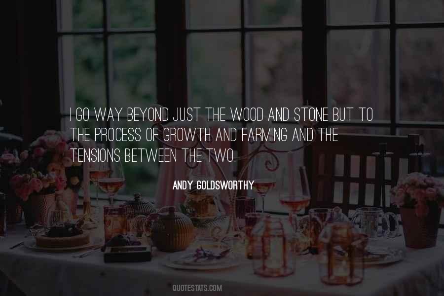 Andy Goldsworthy Quotes #259558