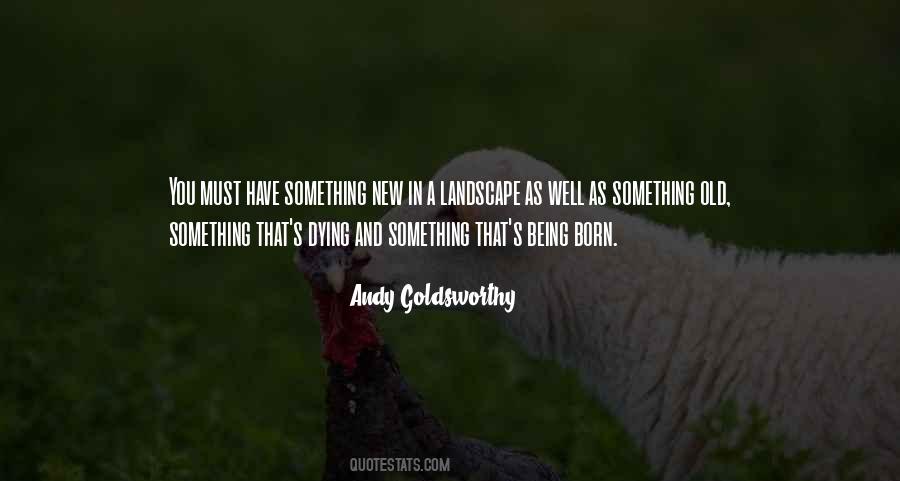 Andy Goldsworthy Quotes #297058