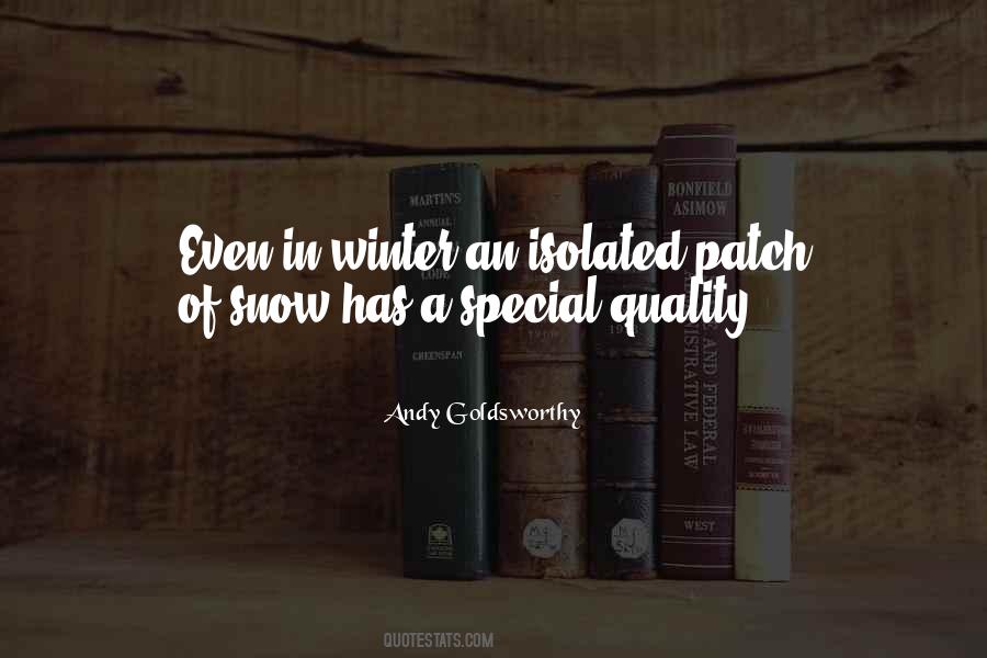 Andy Goldsworthy Quotes #377860