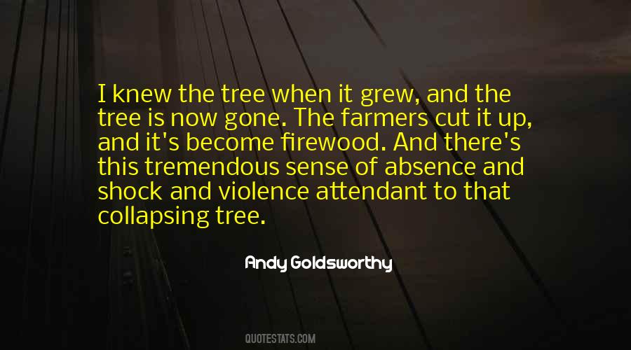 Andy Goldsworthy Quotes #395317