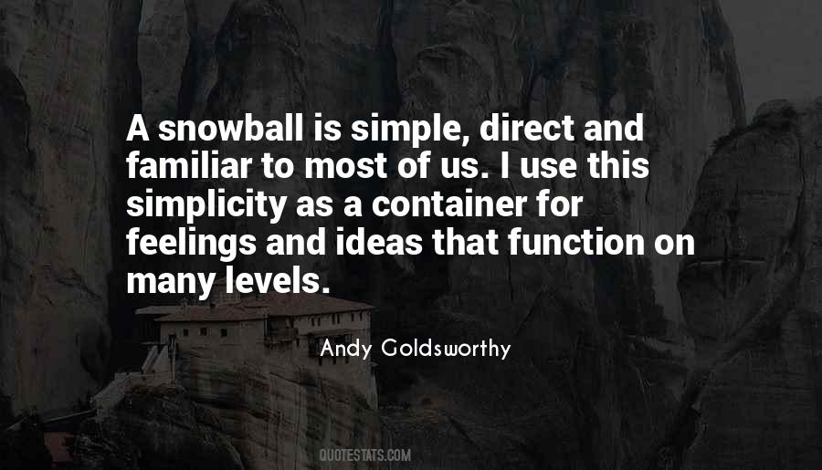 Andy Goldsworthy Quotes #412858