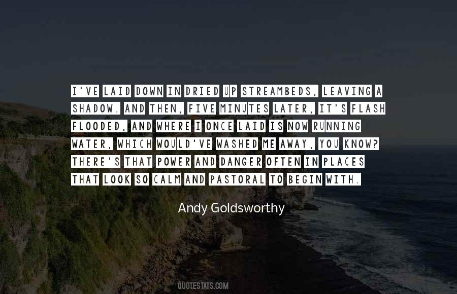 Andy Goldsworthy Quotes #631302