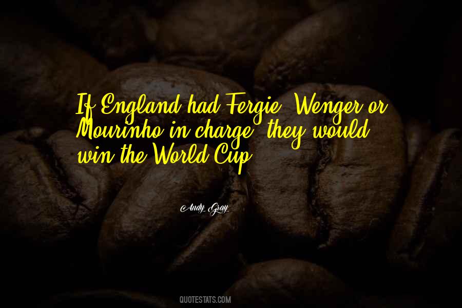Andy Gray Quotes #34891