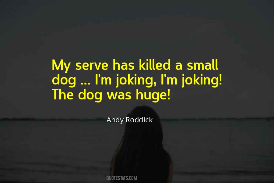 Andy Roddick Quotes #555767