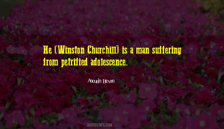 Aneurin Bevan Quotes #1471994