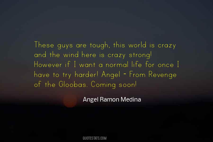 Angel Ramon Medina Quotes #255090