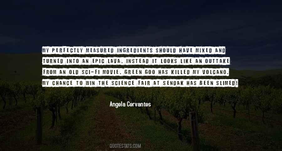 Angela Cervantes Quotes #1518422