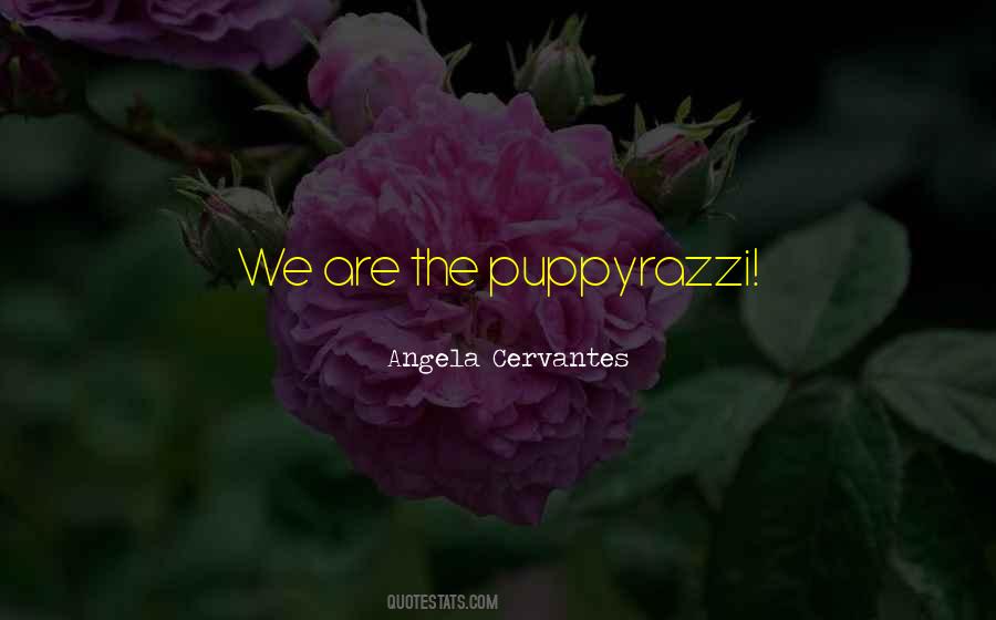 Angela Cervantes Quotes #1589025