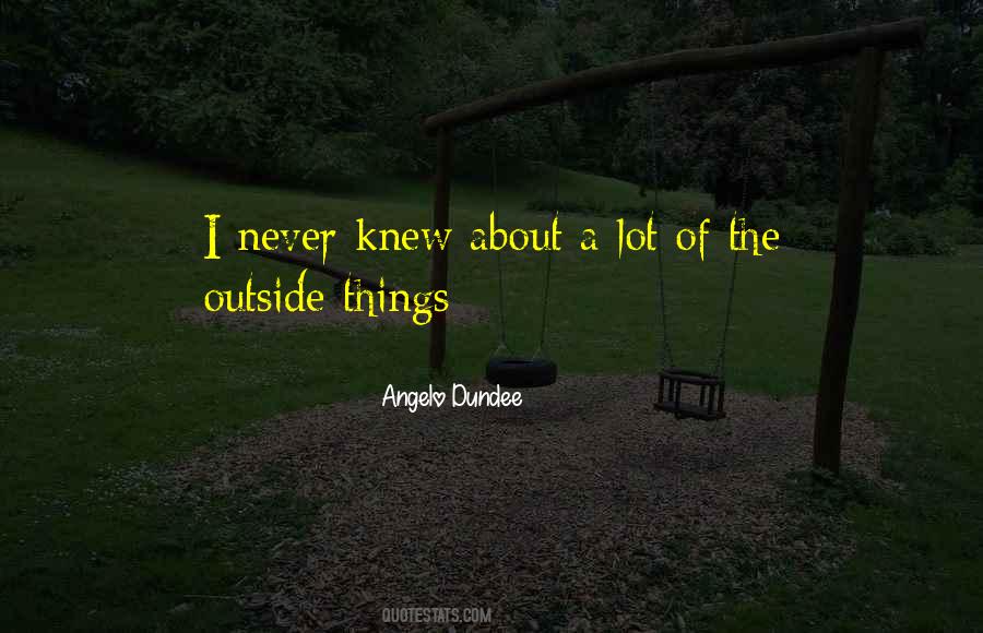 Angelo Dundee Quotes #1315911
